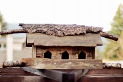 bird1-1346