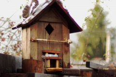 bird2-1344