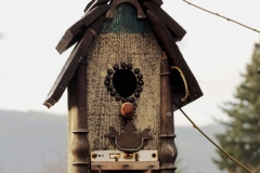 bird4-1341